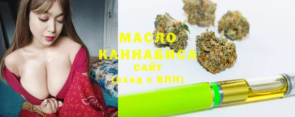 молекула духа Заводоуковск