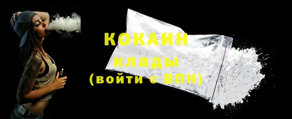 дживик Сосновый Бор